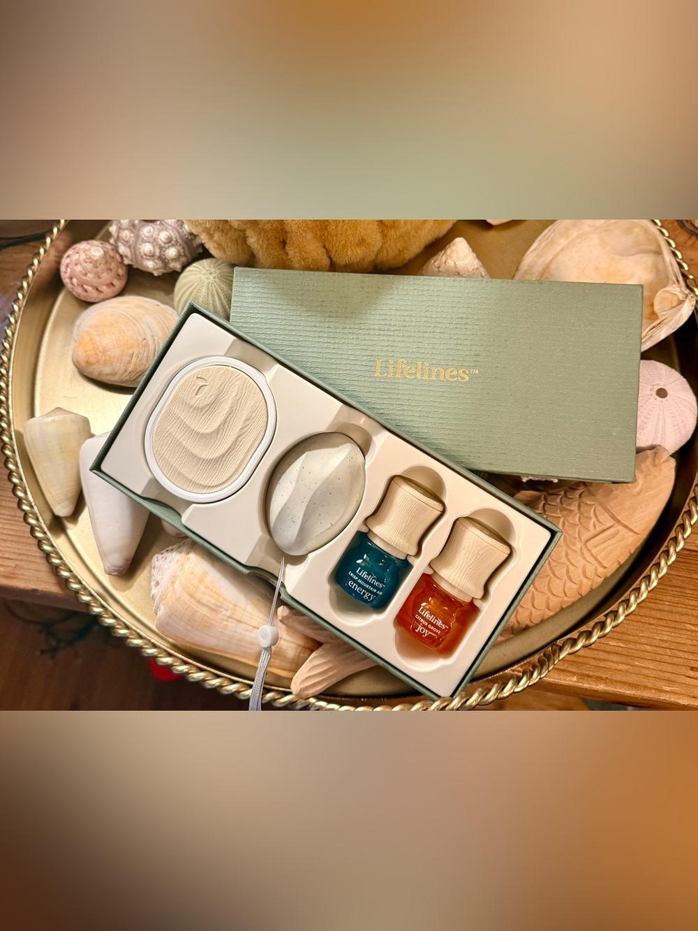 Lifelines Sensory Immersion Gift Set Everyday Aromatherapy Diffuser and Stone